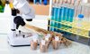 Экспертиза и оценка качества сельскохозяйственной продукции: почему обучение — стратегическая необходимость для специалистов АПК